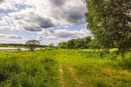 Dirt path through green field near lake under cloudy sky on warm summer day in countryside. Sweden.