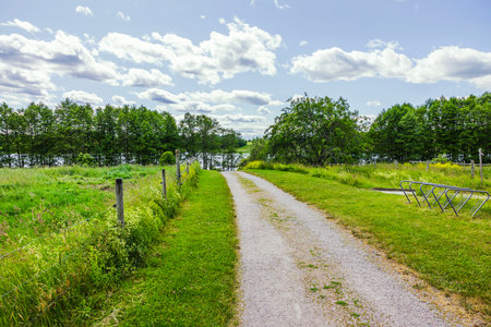 Gravel path leading through grassy field to lake surrounded by trees under cloudy summer sky. Sweden.の写真素材