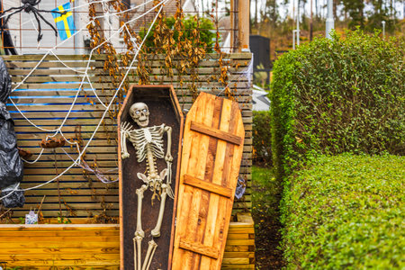 Halloween skeleton in open wooden coffin with cobwebs and spider decoration near green hedge. Sweden.の写真素材