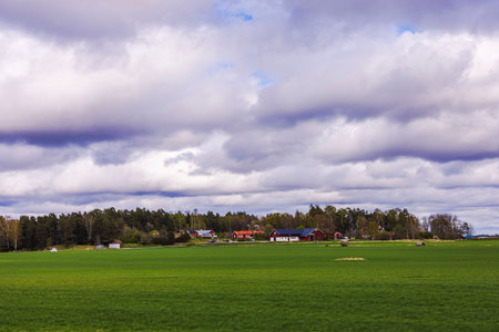 Green farmland with red farmhouses and forest framed by dramatic cloudy spring sky. Sweden.の写真素材