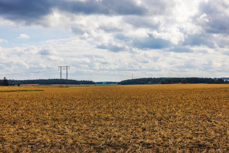 Harvested field with stubble, power lines, pylons, forest horizon and rural buildings. Sweden.の写真素材