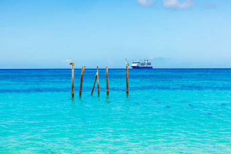 Beautiful view of turquoise Caribbean Sea with pelicans on wooden poles and cruise ship near Eagle Beach. Aruba.の写真素材