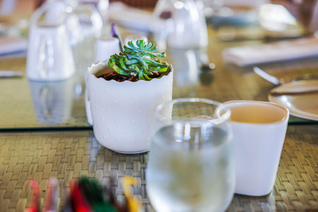 Beautiful close up view of table decor with small succulent plant creating a calm elegant dining...