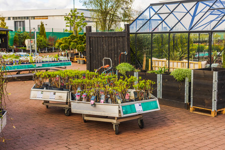 Beautiful view of garden center selling potted plants and shrubs.のeditorial素材