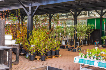 Beautiful view of garden center with potted bushes and trees for sale under metal canopy.のeditorial素材