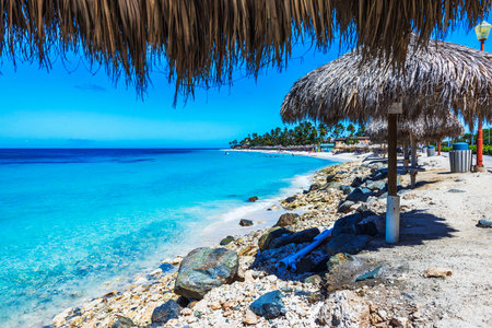 Beautiful view of Caribbean Sea coastline at Eagle Beach with rocky shore and straw beach umbrellas. Aruba. Oranjestad.のeditorial素材