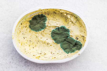 Close up view of spoiled moldy cheese in plastic container on light surface. Sweden.の写真素材