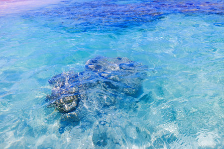 Close up view of reef rock in clear turquoise water against Atlantic Ocean. Dominican Republic. Punta Cana.の写真素材