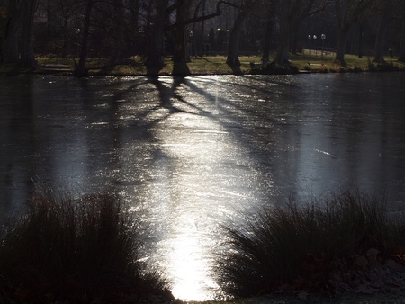 parklake in wintertimeの写真素材
