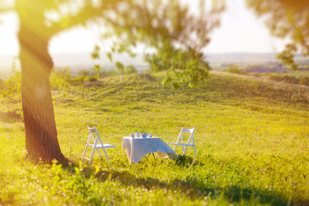 Picnic Table on grassの写真素材
