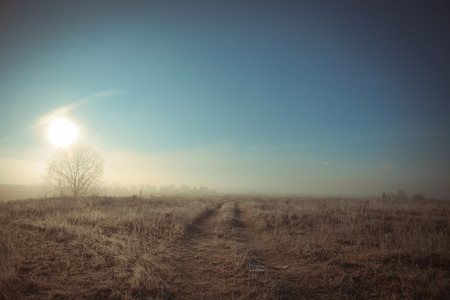 Frosty morning field in Autumn. Cold, Fall.の写真素材