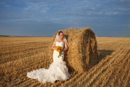 Beautiful Wedding Portraits on wheat field の写真素材