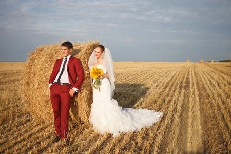 Loving bride and groom on wheat field の写真素材