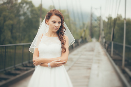 Beautiful bride on a bridge in front of lake.の写真素材