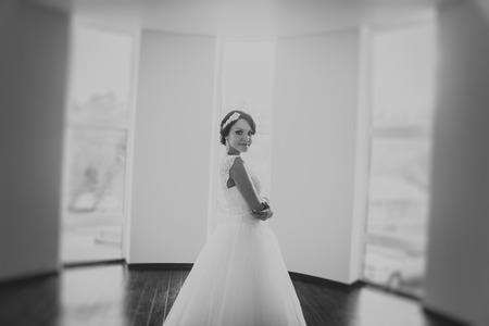 Beautiful bride. Wedding Day. Beautiful Happy womanの写真素材