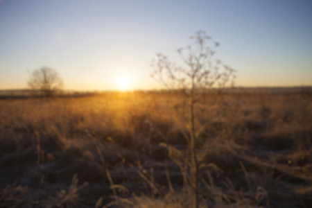 de-focused nature backroundの写真素材