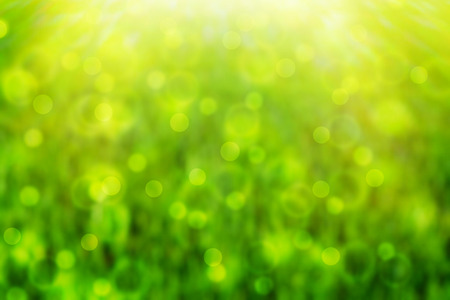 de-focused green backroundの写真素材