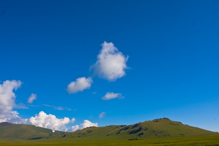 alp meadowsの写真素材