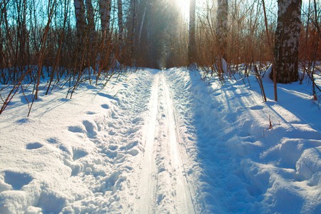 ski runの写真素材