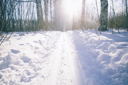 ski runの写真素材