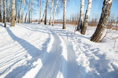 ski runの写真素材