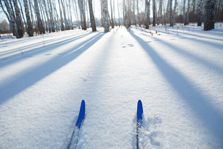 ski runの写真素材