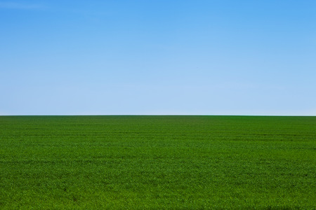 Green field Landscapeの写真素材