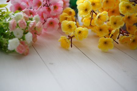 Spring Blossom over clear white wood background.の写真素材