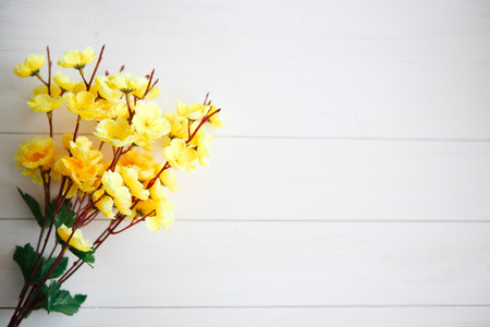 Spring Blossom over clear white wood background.の写真素材