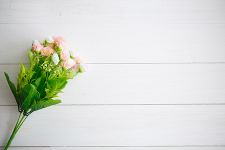 Spring Blossom over clear white wood background.の写真素材