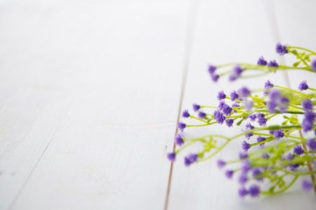 Spring Blossom flowers over clear wood background.の写真素材