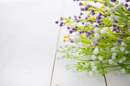 Spring Blossom flowers over clear wood background.の写真素材