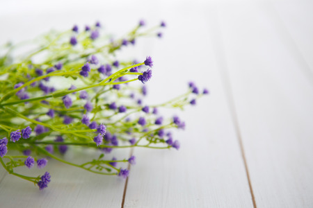 Spring Blossom flowers over clear wood background.の写真素材