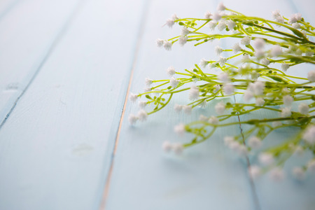 Spring Blossom flowers over clear wood background.の写真素材