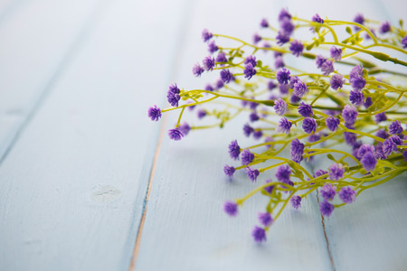 Spring Blossom flowers over clear wood background.の写真素材