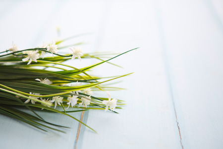 Spring Blossom flowers over clear wood background.の写真素材