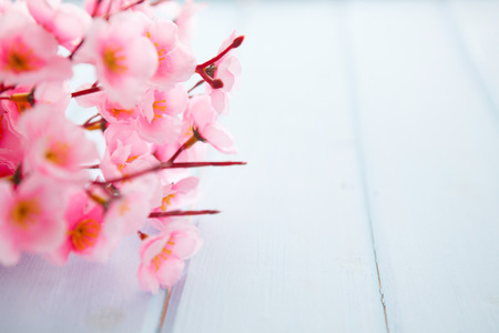 Spring Blossom flowers over clear wood background.の写真素材