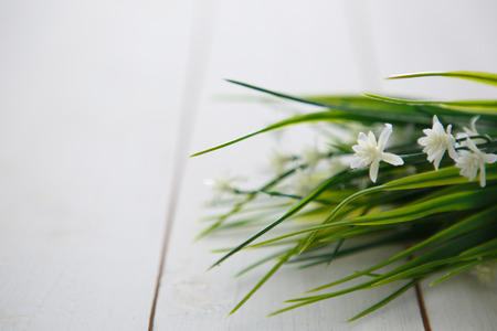 Spring Blossom flowers over clear wood background.の写真素材