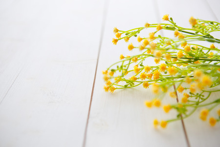 Spring Blossom flowers over clear wood background.の写真素材