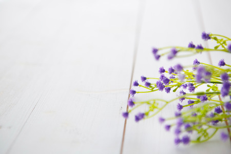 Spring Blossom flowers over clear wood background.の写真素材