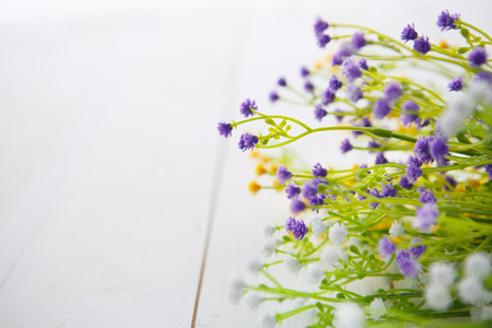 Spring Blossom flowers over clear wood background.の写真素材