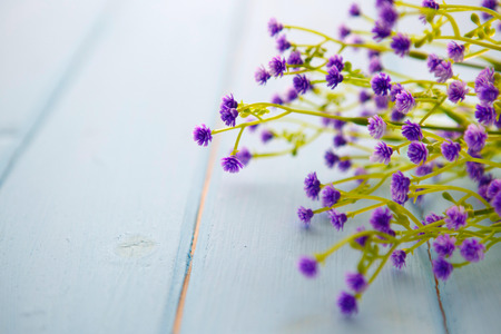 Spring Blossom flowers over clear wood background.の写真素材