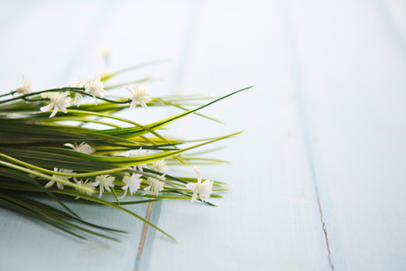 Spring Blossom flowers over clear wood background.の写真素材