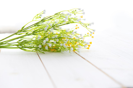 Spring Blossom flowers over clear wood background.の写真素材