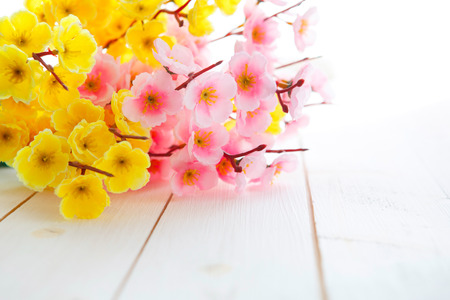 Spring Blossom flowers over clear wood background.の写真素材