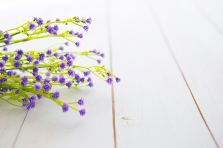 Spring Blossom flowers over clear wood background.の写真素材