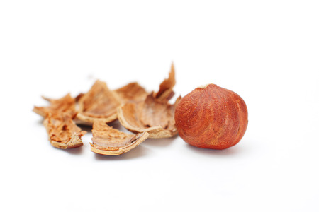 Hazelnuts isolated on white background の写真素材