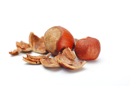 Hazelnuts isolated on white backgroundの写真素材