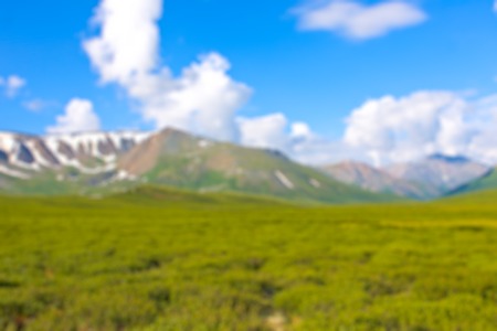 de-focused nature backroundの写真素材