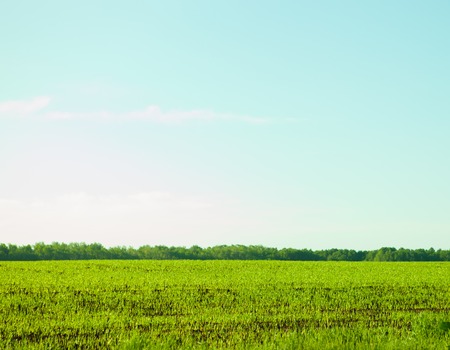 Landscape during Springの写真素材